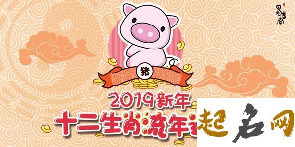 2019年属猪的人是什么命 1959年属猪命不长