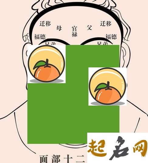 面相看人生富贵吉祥，富贵的人有什么特点 富贵吉祥是指什么花