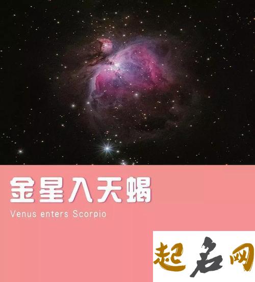 金星落在天秤：和谐比真理更重要 金星天蝎男