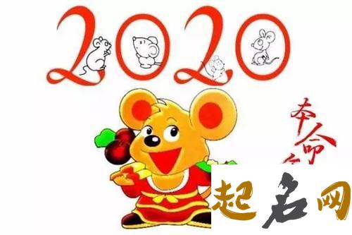 48岁属鼠人2020年本命年不能做什么，要提防什么 2020年属鼠本命年