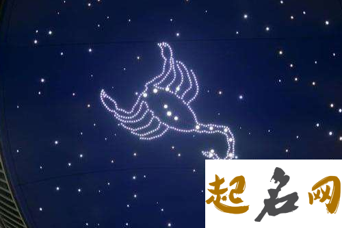 2019年12月双鱼座运势好不好，事业运如何 唐立淇2020年星座运势