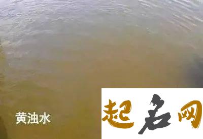 梦见浊水是什么意思 梦见发黄的浑浊水