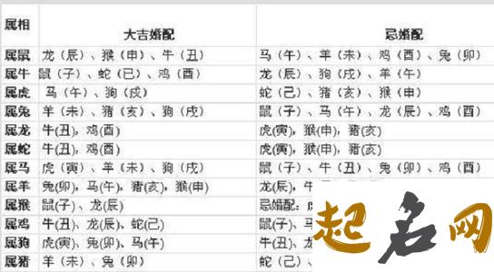 1973年属牛的属相婚配表 73年属牛男的最佳合作生肖