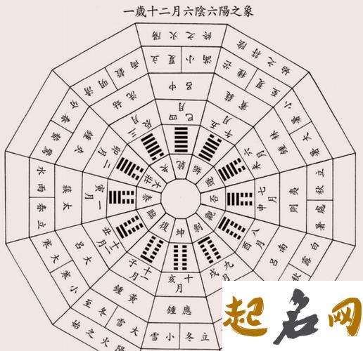 地支有几个 地支指的是哪几个字