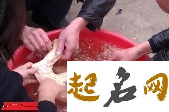 梦见杀鹅是什么意思【好不好】 梦见杀了一只鹅