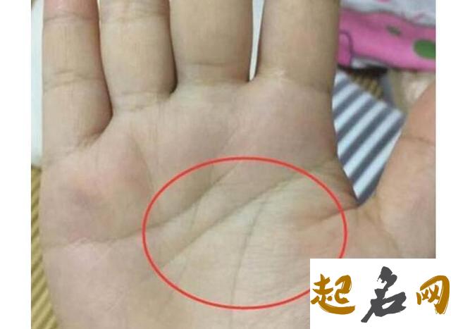 女人手指粗短是什么命 女人手指粗短好不好 女人手指粗硬是好命吗