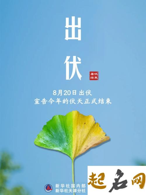 2019年处暑是末伏最后一天吗,2019年处暑时辰吉凶查询！ 2019年最后一天怎么过