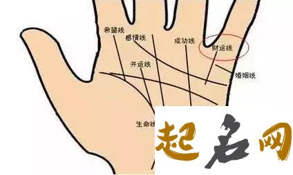 解读凤眼纹手相图，除了财运好还有什么 如何看手相财运