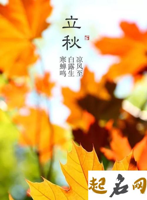 精选2016年立秋祝福短信 立秋祝福语（图文） 周末祝福短信客户简短