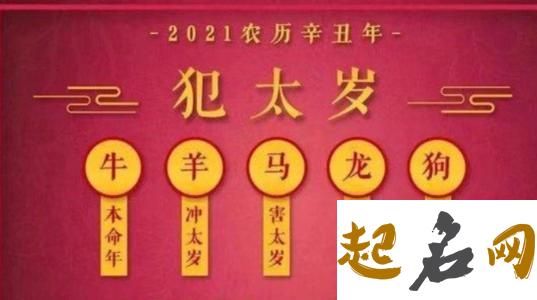 2021年属羊冲太岁如何化解  牛年运势如何 2020年属虎人的全年运势