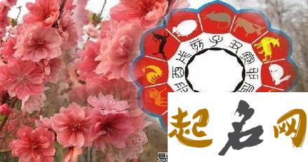 牛年桃花运最旺的生肖 生肖兔最旺 88年属什么的生肖