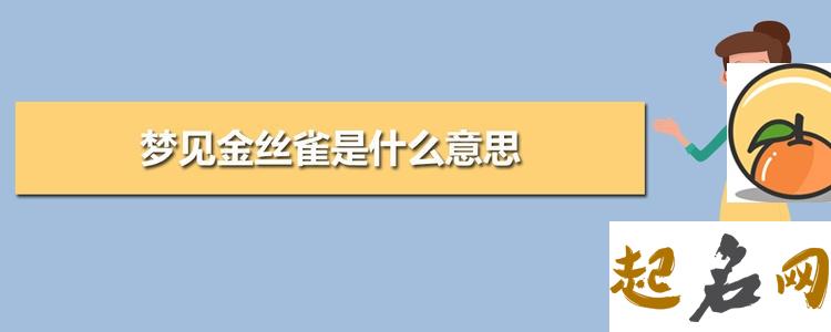 梦见金丝雀的象征意义 女人梦见金丝雀