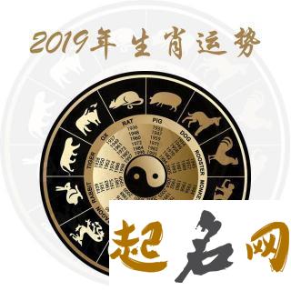 测2019你会遭遇什么坎坷 2019年倒霉的生肖