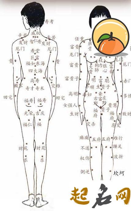 背上长痣的痣相图解,背上长痣代表什么 左手痣相