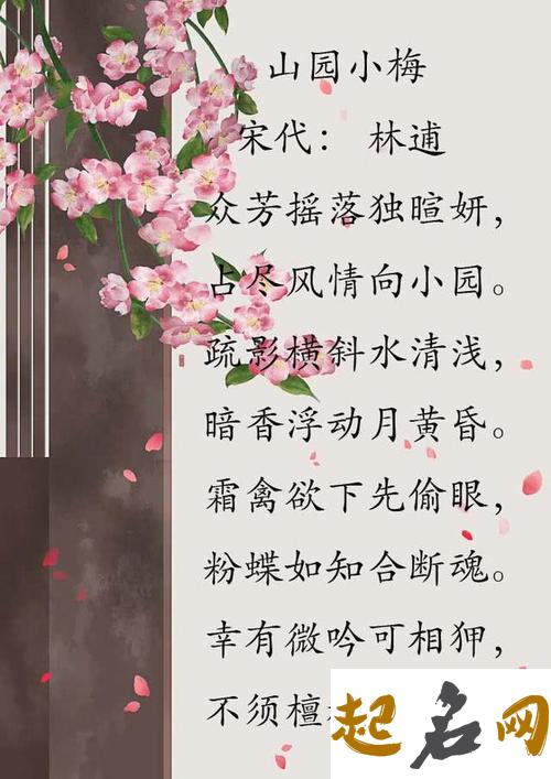 《梅花诗》详解 梅花诗20首