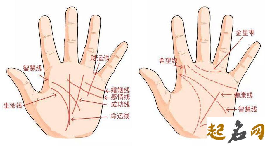 带天命的面相适合创业吗 带天命的人手相有灵气