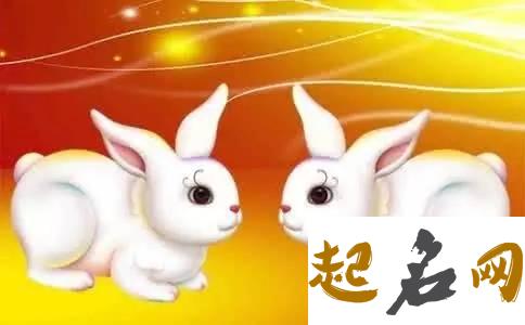 2020鼠年生肖属兔和生肖属狗可以恋爱吗，能在一起吗 属兔和属鼠的合不合