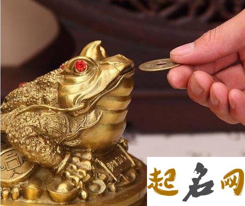 蟾蜍怎么摆放对家庭好？什么材质的蟾蜍风水好？ pvc是什么材质