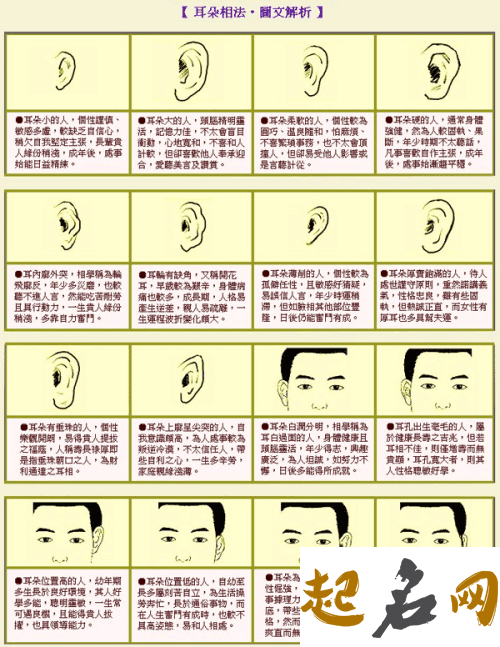 易学面相算命图解：耳形 易学面相