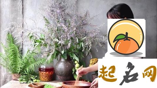 柒爸周运(2018.6.18-6.24) 李子柒2018年年夜饭视频