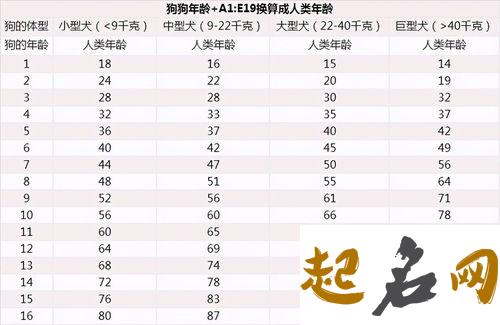 属狗的今年多大，2013年属狗的人多大？ 属蛇的今年多大