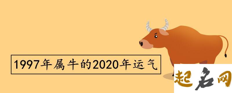 1961年出生属牛人2020年运势运程分析 属牛人2020年每月运势