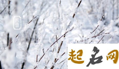 大雪出生的人命运怎么样，财运好不好 出生时下大雪是代表什么