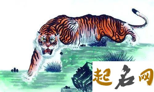 2020年9月生肖属虎运势,各方面运势均衡发展 属鸡2020年运势及运程