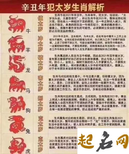 2002年生肖马人在2020年的全年运势怎么样，如何化解犯太岁 属马牛年2021运势