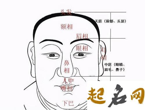 额头天庭的面相解读 额头中间有凹陷面相