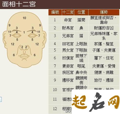 面相图解:三停十二宫位 面相学的十二宫