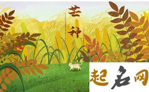 最全的2016年芒种祝福短信 芒种祝福语（图文） 祝福语大全