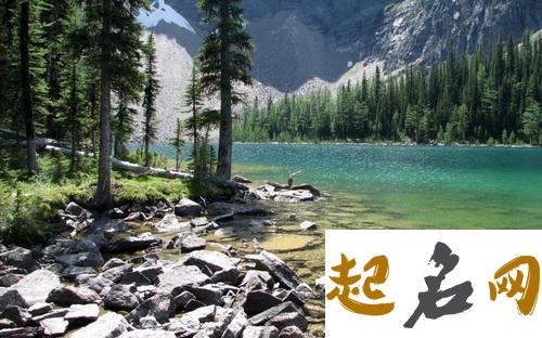 梦见圣经是什么意思 梦见山水冲下来