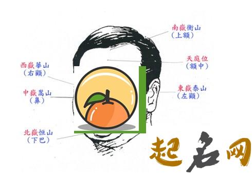 额发高面相详解 面相左额头高