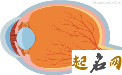 测你无法脱离单身行列的主要原因（图文） 玻璃体后脱离前兆