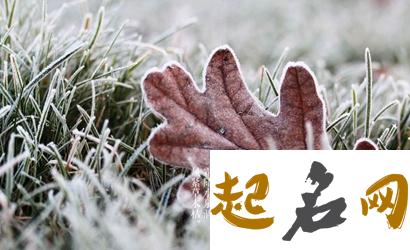 农历2019年十月二十六小雪可以剪头发吗，宜理发？ 2019小雪节气是哪天