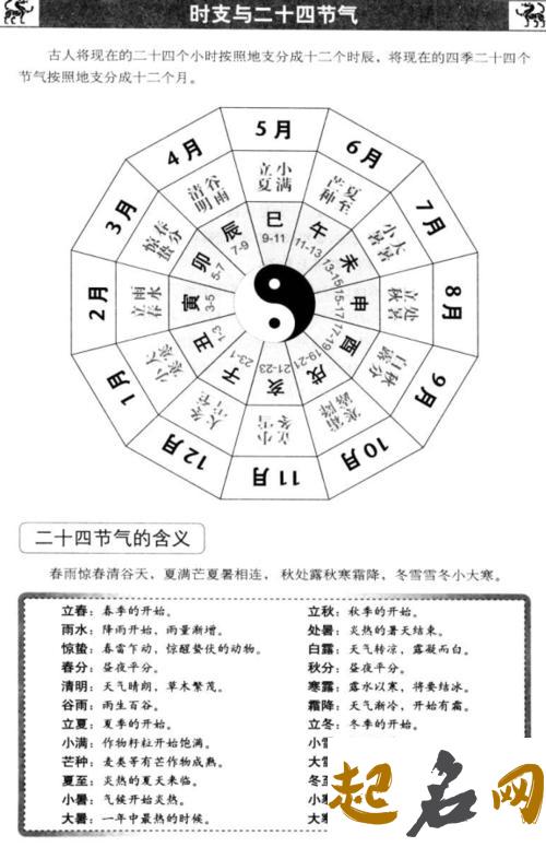 什么叫地支、阳支、阴支？ 地支阴什么时候变阳