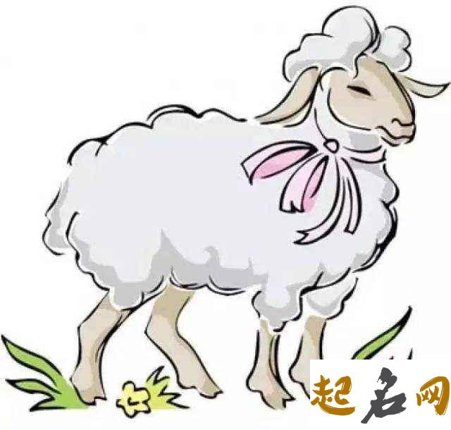 属羊人起名字的宜忌 今年属羊的运势怎么样