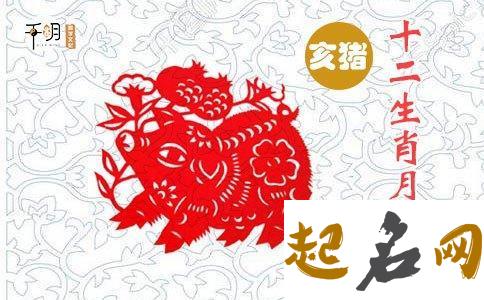 2019农历八月是什么命？属猪人八月出生好吗？ 2019属猪是什么命五行