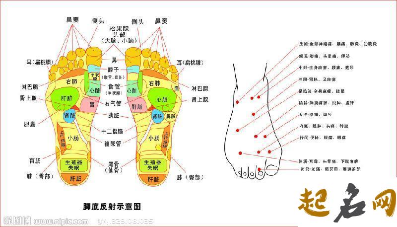 脚底板长痣图解大全 脚底长痣代表什么图解