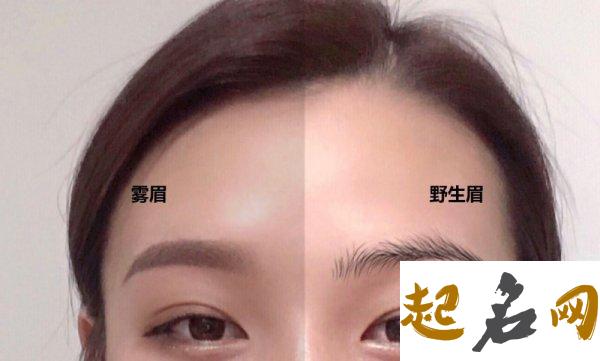 梦见给别人画眉毛是什么意思【好不好】 眉毛怎么画好看