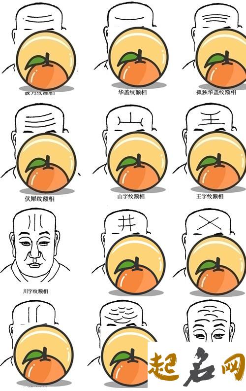 太阳纹面相分析 眉头皱纹面相图解