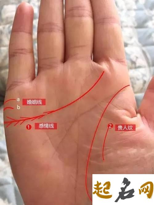 简介婚姻线分叉真的不好吗？ 婚姻线不好