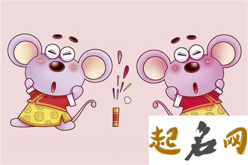 生肖属鼠的性格特点 婚姻怎么样 属鼠2020生肖贵人