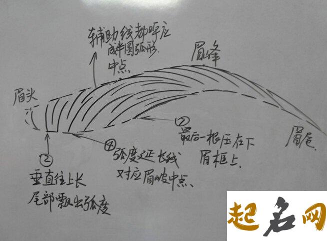 眉相学眉峰 眉峰面相怎么看？ 为什么眉峰不能修