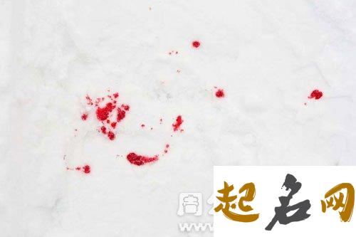 梦见腿上有血是什么意思【好不好】 梦见被蛇咬腿但没流血