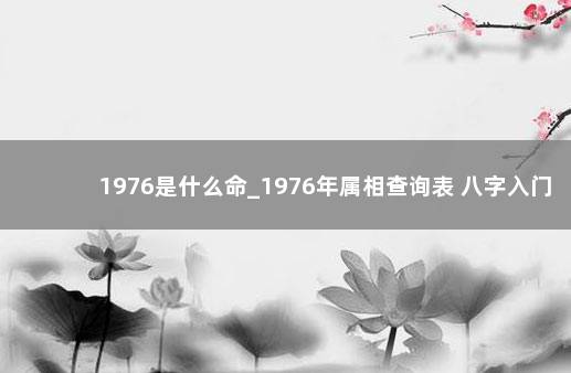 1976是什么命_1976年属相查询表 八字入门