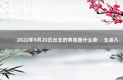 2022年9月20日出生的男孩是什么命 　生辰八字查询