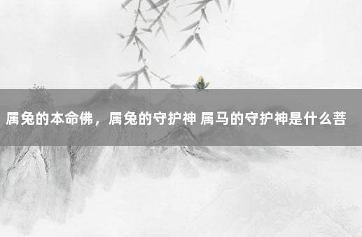 属兔的本命佛，属兔的守护神 属马的守护神是什么菩萨