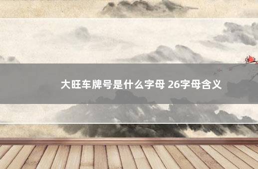 大旺车牌号是什么字母 26字母含义